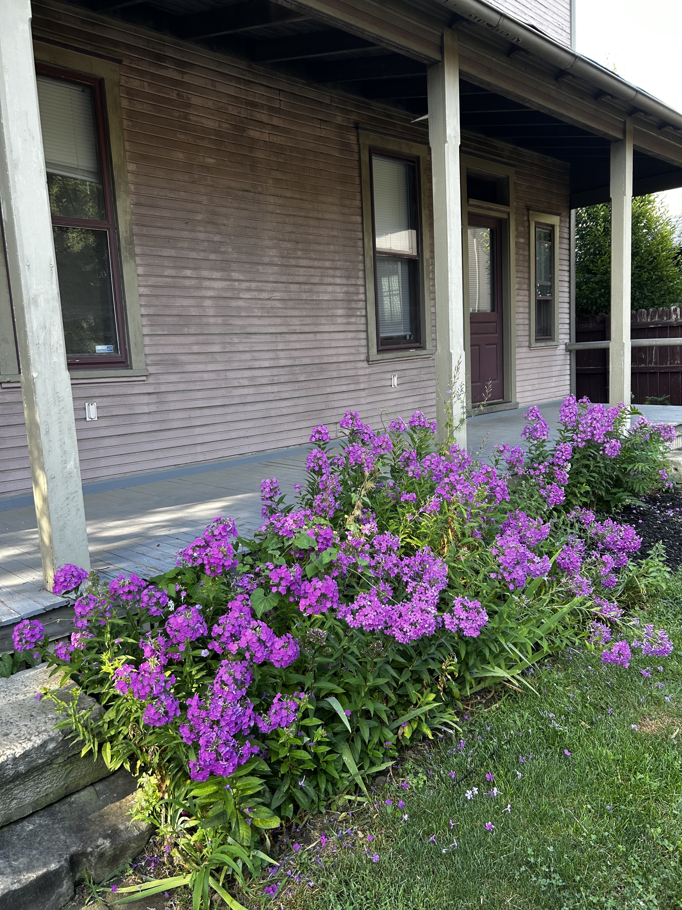 153 Punta Alley